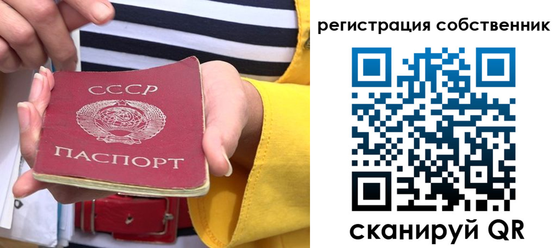 временная прописка в Оленегорске